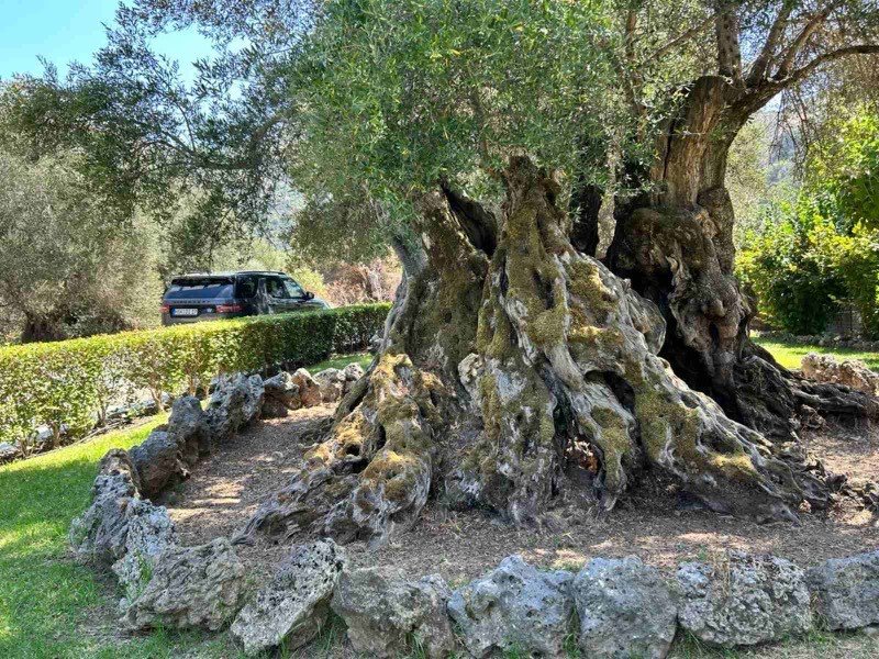 Crete landscape